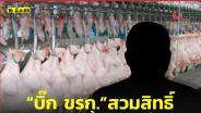 พิรุธ! สวมสิทธิ์ส่งออก “ชิ้นส่วนไก่” ไปจีน จี้ “กรมปศุสัตว์” แจง สำทับข่าว “บิ๊ก ขรก.” ทำธุรกิจส่งออกไก่ด้วย