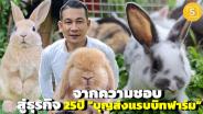 จากความชอบสู่ธุรกิจ 25 ปี “บุญส่งแรบบิทฟาร์ม” เพาะพันธุ์กระต่ายสวยงามจำหน่ายรายใหญ่ในไทย