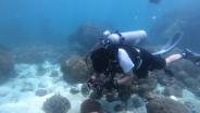 จนท.อุทยานแห่งชาติหาดวนกร ดำน้ำสำรวจพบปะการังฟอกขาวเล็กน้อยที่เกาะจาน-เกาะท้ายทรีย์