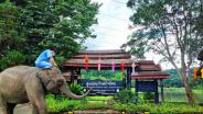 สถาบันคชบาลแห่งชาติ ในพระอุปถัมภ์ฯ (ศูนย์อนุรักษ์ช้างไทย) ลำปาง บ้านหลังใหม่ของ “พลายศักดิ์สุรินทร์”