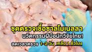 จาก 1-2 วัน เหลือ 1 ชั่วโมง นวัตกรรมชุดตรวจเชื้อซาลโมเนลลาในเนื้อไก่ ฝีมือนักวิจัยไทย!