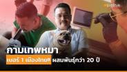 “กามเทพหมา” เบอร์ 1 เมืองไทย!! ผสมพันธุ์กว่า 20 ปี พีคสุดได้วันละหมื่น [มีคลิป]
