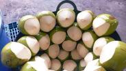 ราชบุรีส่งเสริมการผสิตมะพร้าวน้ำหอม เพื่อให้เกิดการผลิตมะพร้าวน้ำหอมอย่างยั่งยืน