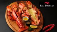 เตรียมพบ! Red Lobster สาขา 2 คอนเซปต์ใหม่ Red Lobster Caf&amp;#233; แห่งแรกในไทย ที่ศูนย์การค้าใหม่ใจกลางเมือง The Emsphere 1 ธ.ค.66 นี้