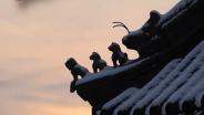 คลิกคลิป ชมปักกิ่งต้อนรับ ‘หิมะแรก’ ขาวโพลนทั่วเมือง