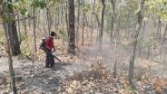 สำนักบริหารพื้นที่อนุรักษ์ที่ 3 วางแผนแก้ไขสถานการณ์ไฟป่าในพื้นที่เขตสลักพระ