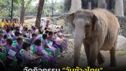 สวนสัตว์สงขลาจัดกิจกรรม “วันช้างไทย” 13 มีนาคม