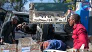 แดนมิคสัญญี! ตู้คอนเทนเนอร์ UNICEF ขนอุปกรณ์ช่วยเด็กแรกเกิดโดนปล้นใน “เฮติ” ส่วนสถานกงสุลถูกงัดแต่กัวเตมาลาไม่กล้าโวย “47 อเมริกัน” ชุดแรกหนีตายขึ้นเครื่องเช่าเหมาลำออกมาสำเร็จ