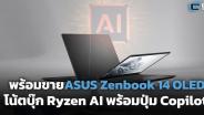 พร้อมขายแล้ว ASUS Zenbook 14 OLED โน้ตบุ๊ก Ryzen AI พร้อมปุ่ม Copilot