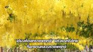 ตระการตา! “อุโมงค์ดอกราชพฤกษ์” แห่งแรกในไทย ที่อุทยานหลวงราชพฤกษ์