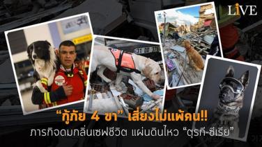 “กู้ภัย 4 ขา” เสี่ยงไม่แพ้คน!! ภารกิจดมกลิ่นเซฟชีวิต แผ่นดินไหว “ตุรกี-ซีเรีย”