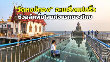 “วัดหงษ์ทอง” อะเมซิ่งฉะเชิงเทรา ตื่นตาโบสถ์-เจดีย์ในทะเล-“ซีวอล์ค” พื้นใสแห่งแรกของเมืองไทย
