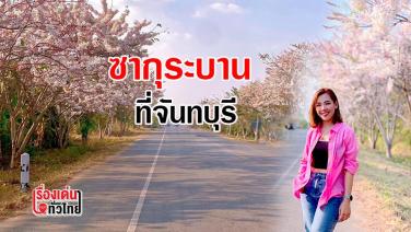"ดอกกัลปพฤกษ์" บานราวกับ "ซากุระ" ที่ "จันทบุรี" : เรื่องเด่นทั่วไทย