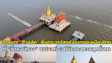 ปักหมุด! “ซีวอล์ค” พื้นกระจกใสแห่งแรกของเมืองไทย ที่ “วัดหงษ์ทอง” ชมโบสถ์-เจดีย์กลางทะเลสุดตื่นตา