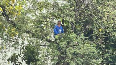 ชายวัยกลางคน ดอดปีนต้นไม้ข้างทำเนียบ ช่วงประชุม ครม.ทวงเงินค่าคุ้มครองพยาน อ้าง “พีระพันธุ์” รู้ดี