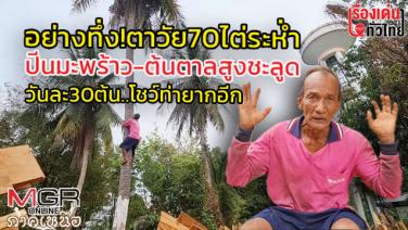 อย่างทึ่ง! ตาวัย 70 ไต่ระห่ำปีนมะพร้าว-ต้นตาลสูงชะลูด วันละ 30 ต้น แถมโชว์ท่ายาก : เรื่องเด่นทั่วไทย