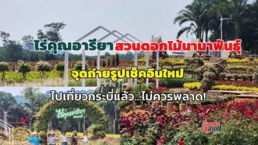 “ไร่คุณอารียา” สวนดอกไม้นานาพันธุ์ จุดถ่ายรูปเช็คอินใหม่ มากระบี่แล้วไม่ควรพลาด! : เรื่องเด่นทั่วไทย