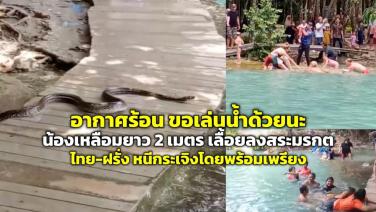 อากาศมันร้อน งูเหลือมเลื้อยลงเล่นน้ำ “สระมรกต” นักท่องเที่ยวไทย-ฝรั่ง กรี๊ด หนีกระเจิง