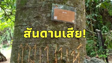 สันดานเสีย! นักท่องเที่ยวมือบอนสลักชื่อประจานตัวเองบนต้นไม้ ที่  “อช.น้ำตกเจ็ดสาวน้อย”