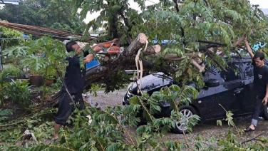 พายุฝนกระหน่ำราชบุรี ซัดต้นไม้ล้มทับรถพังเสียหาย