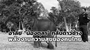 อาลัย “น้องตุลา” พลังงานความสุขของคนไทย ที่ลาลับกลับดาวช้าง กับเรื่องราวแห่งความทรงจำ