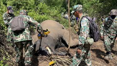 เศร้า! ช้างป่าภูหลวงถูกยิงตายใกล้หมู่บ้าน เจ้าหน้าที่เร่งเก็บหลักฐาน แจ้งความลากคอคนชั่วมาดำเนินคดี