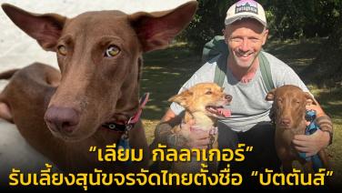 “เลียม กัลลาเกอร์” อดีตนักร้องวงโอเอซิส รับเลี้ยงสุนัขจรจัดไทยตั้งชื่อ “บัตตันส์”