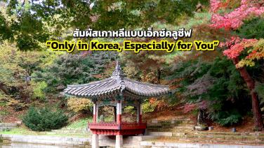 สัมผัสเกาหลีแบบเอ็กซ์คลูซีฟ “Only in Korea, Especially for You”
