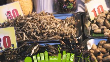 การบริโภคแมลง ช่วยลดภาวะโลกร้อนได้อย่างไร