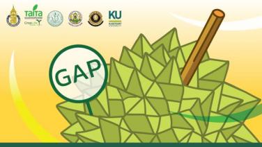 สมาคมฯ นวัตกรรมเพื่อเกษตรไทย จับมือ ม.อ.ผลิตเกษตรนิวเจน ชวนรุ่นใหม่ดันทุเรียน GAP สู่ตลาดโลก