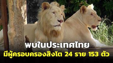 อุทยานฯ เผยมีผู้ครอบครองสิงโต 24 ราย 153 ตัว เตรียมออกประกาศบุคคล ห้ามครอบครองสัตว์อันตราย 10 ชนิด