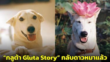 แฟนคลับเศร้า "กลูต้า" น้องหมาหน้ายิ้ม จากเพจ Gluta Story ไปเป็นนางฟ้าแล้ว