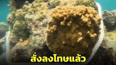 อธิบดีกรมอุทยานฯ สั่งลงโทษเรือนำเที่ยวมักง่ายผูกโยงเรือกับปะการังอช.หาดเจ้าไหม