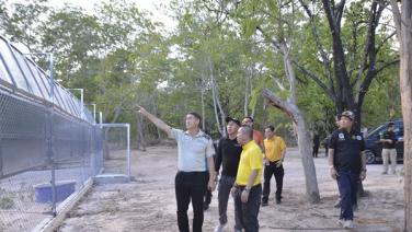 อธิบดีกรมอุทยานฯ ลงพื้นที่สำรวจกรงพักลิงเพชรบุรี เตรียมจับเพิ่มอีก200 ตัวแก้ปัญหาลิงกวนเมือง