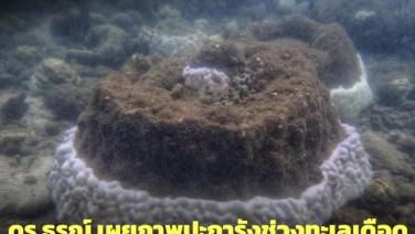 สุดเศร้า! ดร.ธรณ์เผยภาพปะการังช่วงทะเลเดือดทยอยตายเยอะ เหตุน้ำทะเลร้อนจัด
