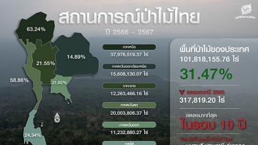วิกฤตป่าไม้ไทย! ปี 2566 ปีเดียวหายไปกว่า 3 แสนไร่ ลดลงมากที่สุดในรอบ 10 ปี
