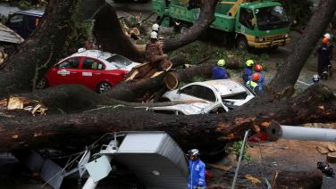 ระทึก! พายุฝนถล่มกัวลาลัมเปอร์ทำ ‘ต้นไม้ยักษ์’ โค่นทับรถ 17 คัน มีผู้เสียชีวิต 1 ศพ  (ชมคลิป)