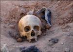 ฮือฮา! “หัวกะโหลกมนุษย์อายุครึ่งร้อย” โผล่ตลาดของเก่ากรุงเบลเกรด