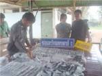 ทหารพรานที่ 12 โชว์ผลงานรวบแก๊งขนของหนีภาษี