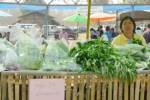 สหกรณ์ฯ เวียงสาเปิดตลาดนัดปลอดสารเคมี อุ้มเกษตรกร-รับวาระจังหวัดน่าน