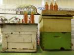 นักวิจัย มช. ดันเลี้ยงผึ้งอินทรีย์แบบรัง 2 ชั้น ยกระดับน้ำผึ้งไทย