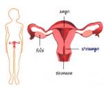 เลือดออกผิดปกติจากช่องคลอด : สัญญาณอันตราย