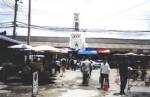 Police seize endangered species at Chatuchak Market