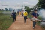 อุบลฯระดมคุมโรคไข้เลือดออกหลังพบผู้ป่วยแล้ว 8 ราย