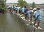 ผู้ว่าฯจันทบุรีนำ ขรก.-ประชาชนร่วมปลูกป่าชายเลน 3,000 ไร่