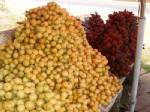 กลุ่มสหกรณ์เมืองจันท์ผนึกกำลังกระจายผลไม้สู่ตลาดทั้งใน-ตปท.