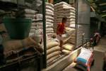 DIT expects rice situation to improve in May