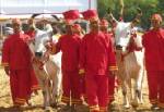 Ploughing ceremony