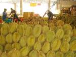 เมืองจันท์เร่งระบายผลไม้สู่ตลาดทั้งใน-ต่างประเทศ