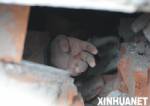เหยื่อแผ่นดินไหวจีนตายแล้วทะลุ 20,000  ถูกฝัง-สูญหายไม่รู้ชะตากว่า 40,000 คน